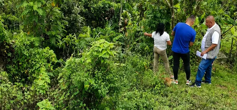 Equipo de SICO recorriendo una ladera con vegetación densa durante un reconocimiento predial rural
